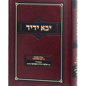 יבוא ידיד ב — עותק לבדיקה