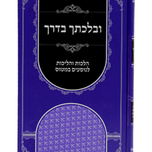 ובלכתך בדרך — עותק לבדיקה