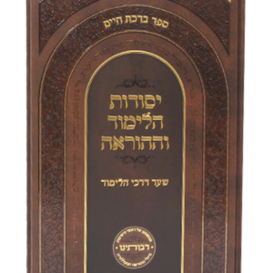 יסודות דרכי הלימוד וההוראה — עותק לבדיקה
