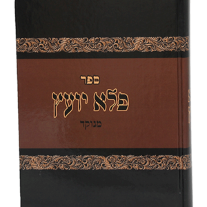 פלא יועץ מנוקד — עותק לבדיקה