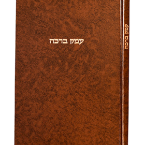 עמק ברכה — עותק לבדיקה