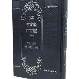 פתחי טהרה — עותק לבדיקה