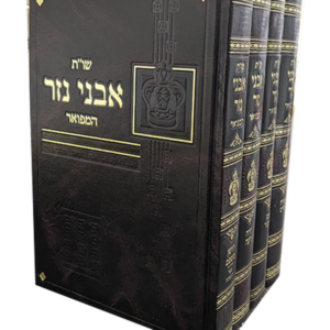 שו"ת אבני נזר — עותק לבדיקה
