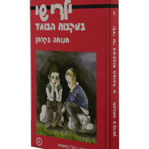 ילדי שי 6 בעקבות הבוגד — עותק לבדיקה