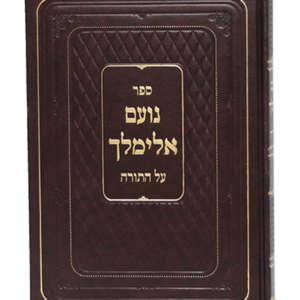 נועם אלימלך — עותק לבדיקה