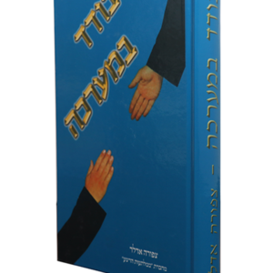 בודד במערכה — עותק לבדיקה