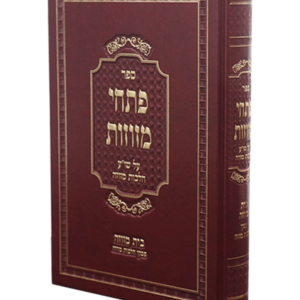 פתחי מזוזות — עותק לבדיקה