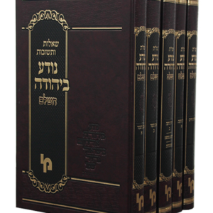 שות נודע ביהודה — עותק לבדיקה