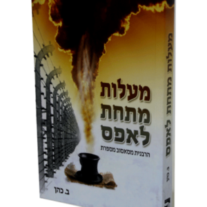 מעלות מתחת לאפס — עותק לבדיקה
