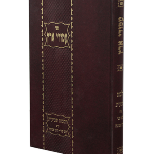 עמודי ארץ שביעית — עותק לבדיקה