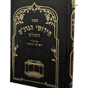 חידושי הגרנ"ט — עותק לבדיקה