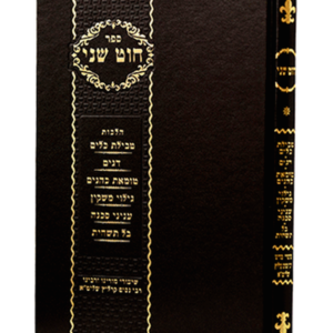 חוט שני טבילת כלים — עותק לבדיקה
