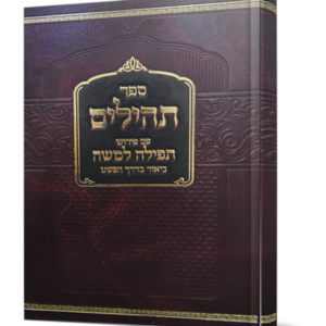 תהילים עם פירוש תפילה למשה – הרב מיכל שטרן — עותק לבדיקה