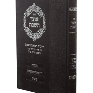 אוצר השבת — עותק לבדיקה