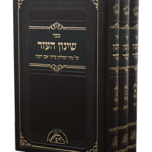 שינון העזר — עותק לבדיקה