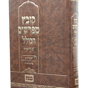 קובץ מפרשים הכולל בבא מציעא — עותק לבדיקה