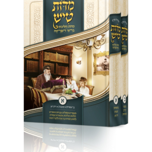 מידות טיש — עותק לבדיקה