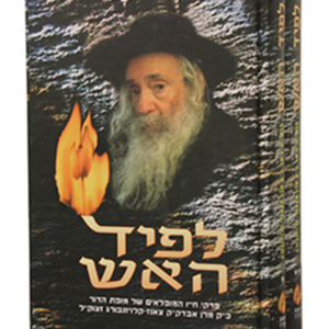 לפיד האש — עותק לבדיקה
