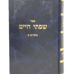 שפתי חיים מועדים א — עותק לבדיקה