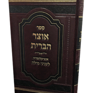 אוצר הברית — עותק לבדיקה