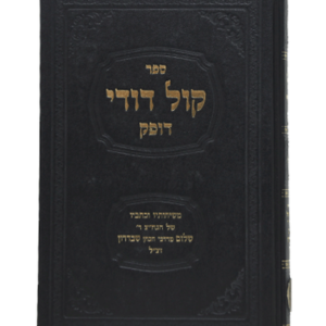 קול דודי — עותק לבדיקה
