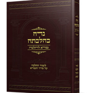 נדה כהלכתה — עותק לבדיקה
