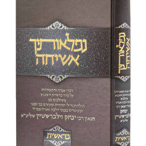 נפלאותיך אשיחה — עותק לבדיקה