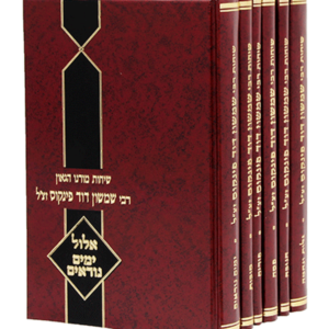 שיחות הרב פינקוס, בודדים וסטים — עותק לבדיקה