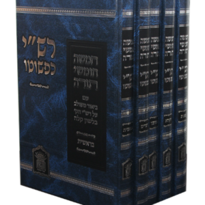 רשי כפשוטו — עותק לבדיקה