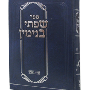 שפתי בנימין — עותק לבדיקה