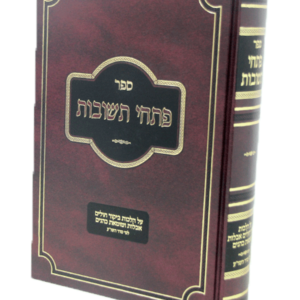 פתחי תשובות אבלות — עותק לבדיקה