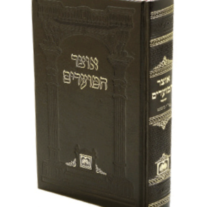 אוצר המועדים יום כיפור — עותק לבדיקה
