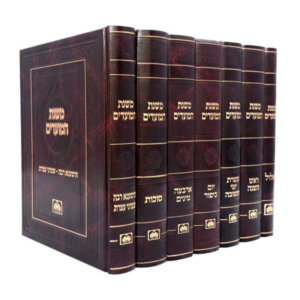 משנת המועדים — עותק לבדיקה