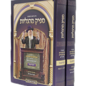 מפיק מרגליות דברים — עותק לבדיקה