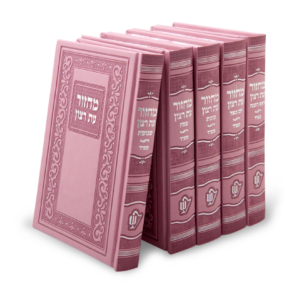 סט מחזורים דמוי עור — עותק לבדיקה