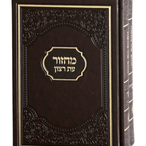 מחזור דגם אמריקאי — עותק לבדיקה