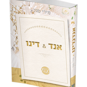 אנד & דינו — עותק לבדיקה