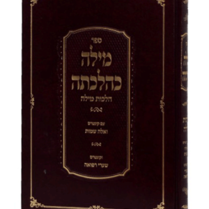 מילה כהלכתה — עותק לבדיקה