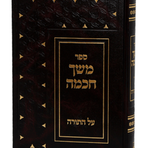 משך חכמה — עותק לבדיקה