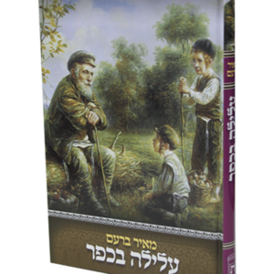 עלילה בכפר — עותק לבדיקה