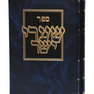 שערי יושר — עותק לבדיקה