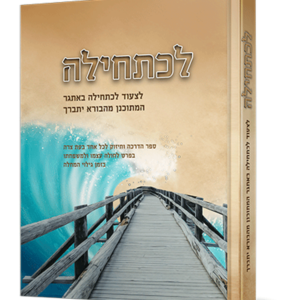 לכתחילה — עותק לבדיקה
