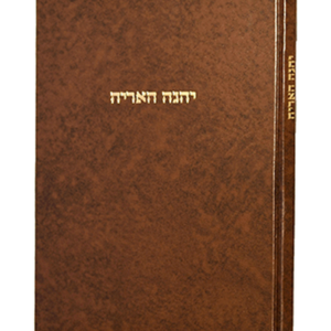 יהגה אריה לבעל העמק ברכה — עותק לבדיקה