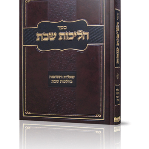 הליכות שבת — עותק לבדיקה