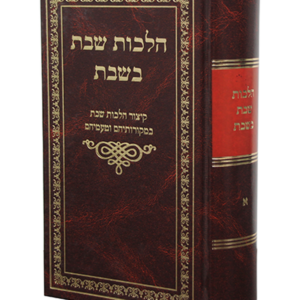 הלכות שבת בשבת — עותק לבדיקה