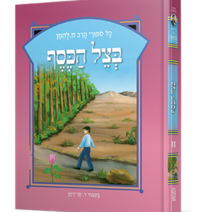 סיפורי להמן 11 בצל הכסף — עותק לבדיקה
