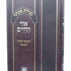 מגילת אסתר אור החיים — עותק לבדיקה