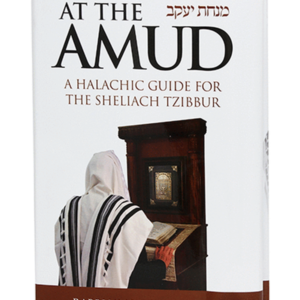 At The Amud — עותק לבדיקה