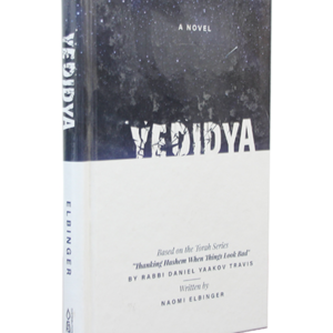 YEDIDYA — עותק לבדיקה