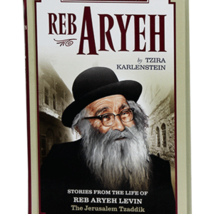 Reb Arye for Kids — עותק לבדיקה